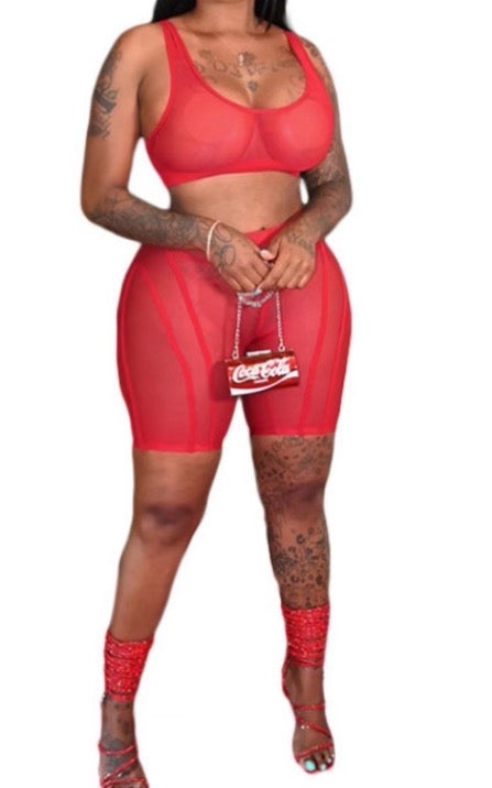 Extremely Stretchy 2 Pc Sheer Bra Top With Shorts